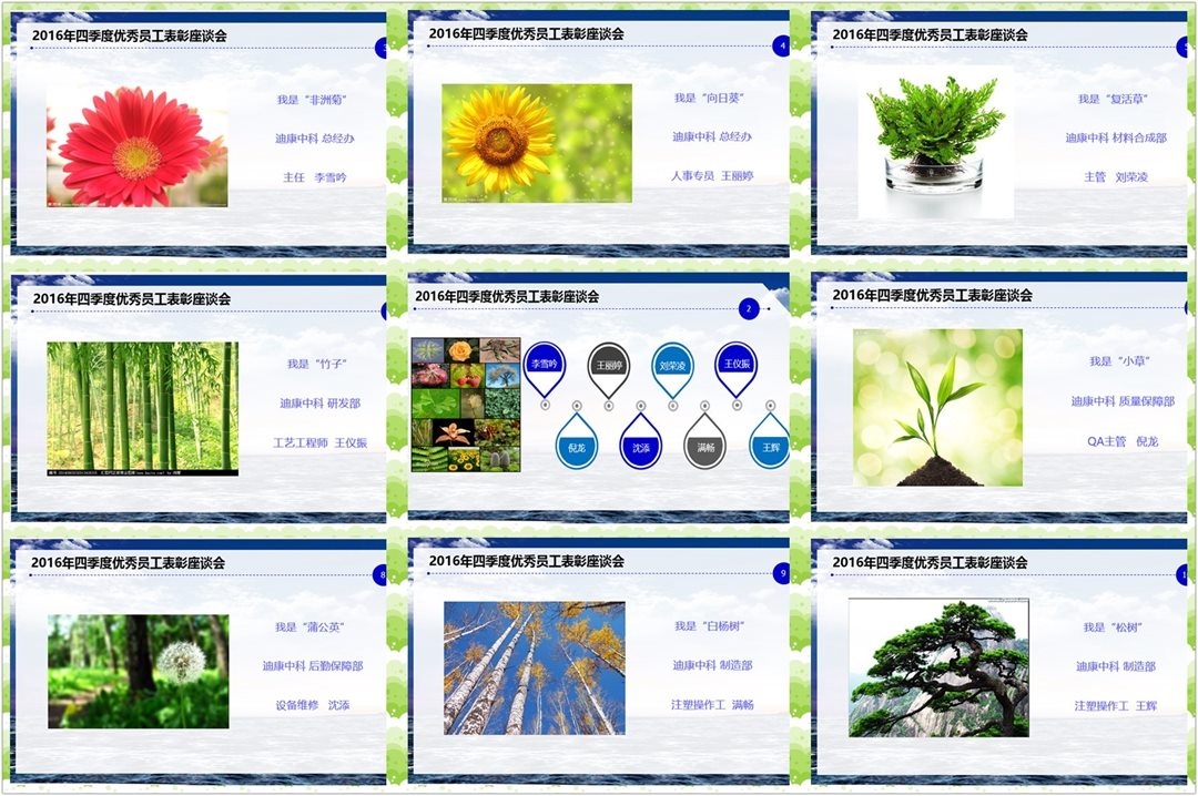 满堂彩·(中国区)官方网站